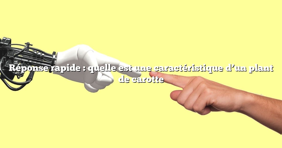 Réponse rapide : quelle est une caractéristique d’un plant de carotte